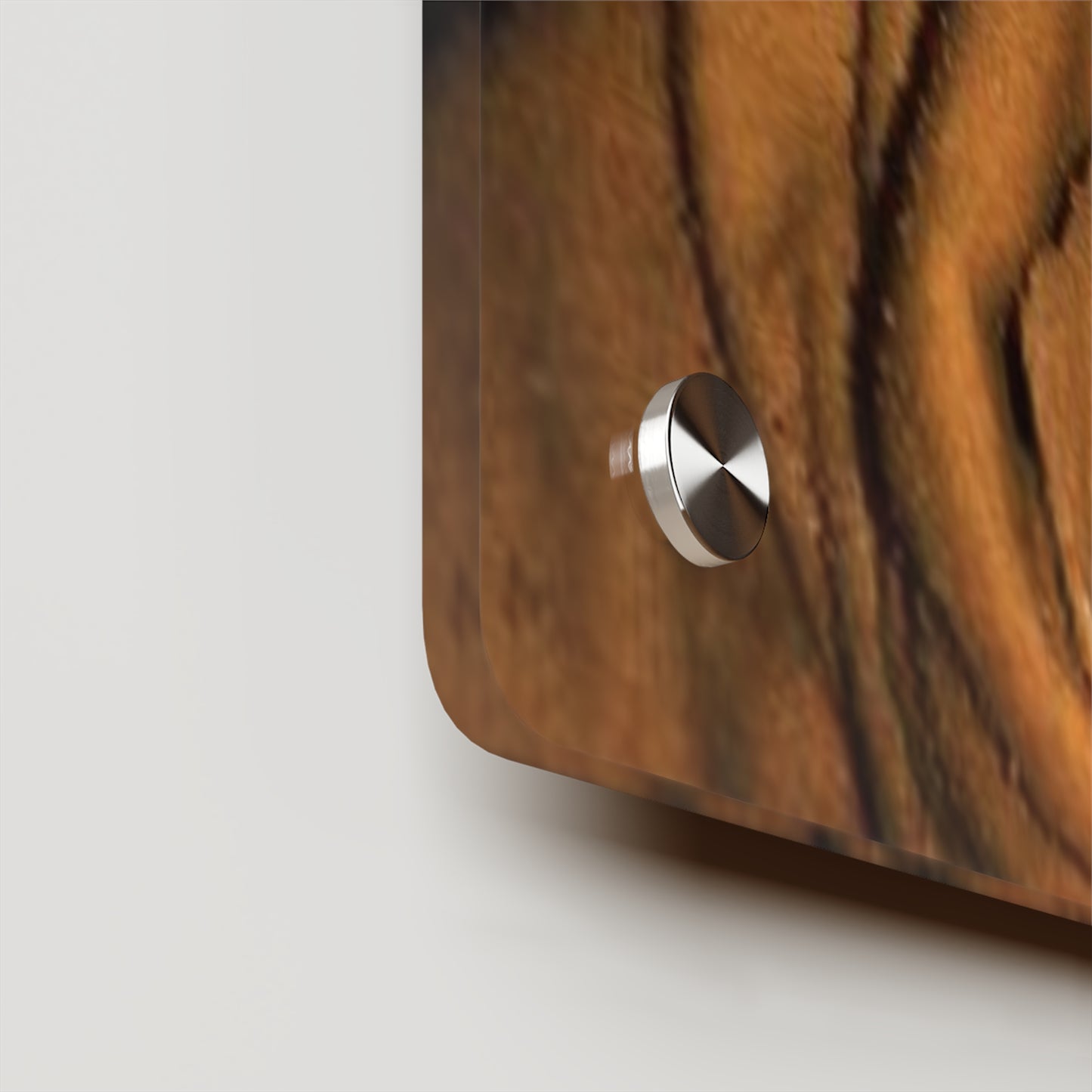 Acrylic Wall Art Panels