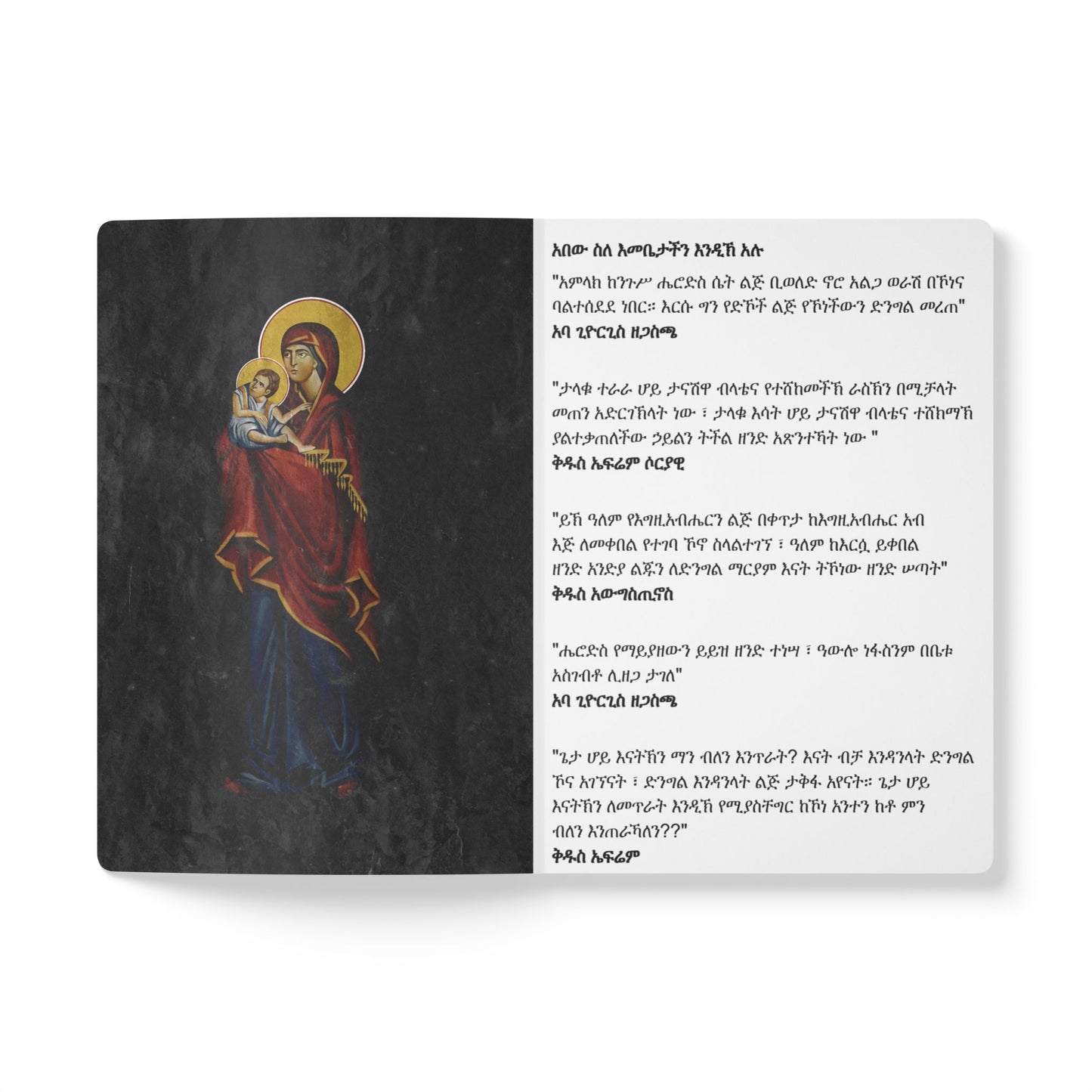 Softcover Journal (with Inside Prints) notebook